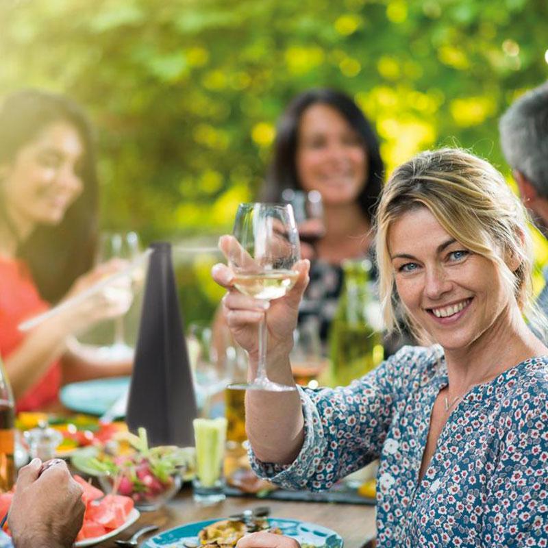 Ventilateur Anti-Mouches
