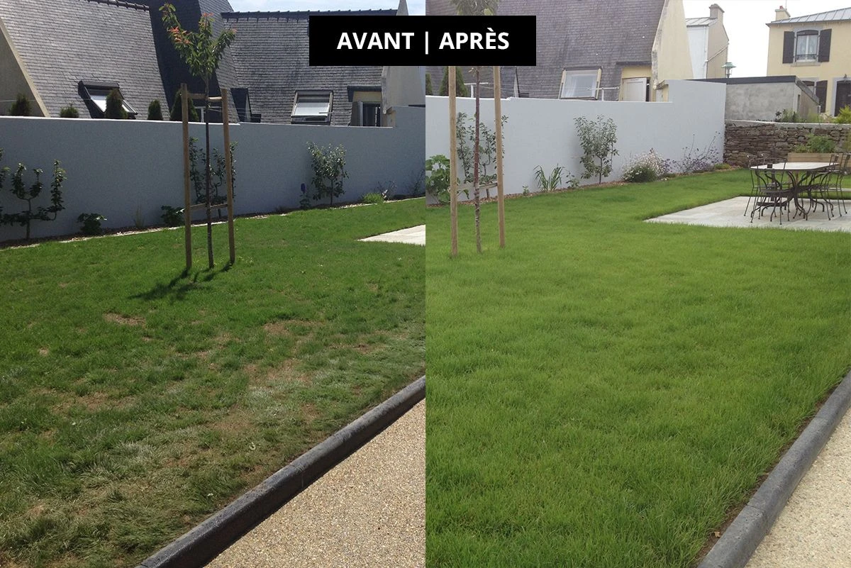 Pulvérisateur de Semences à Gazon